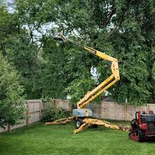 Best Lawn Pest Prevention  in Princeton, IL