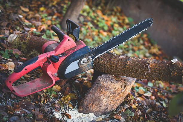 Best Weed Control  in Princeton, IL